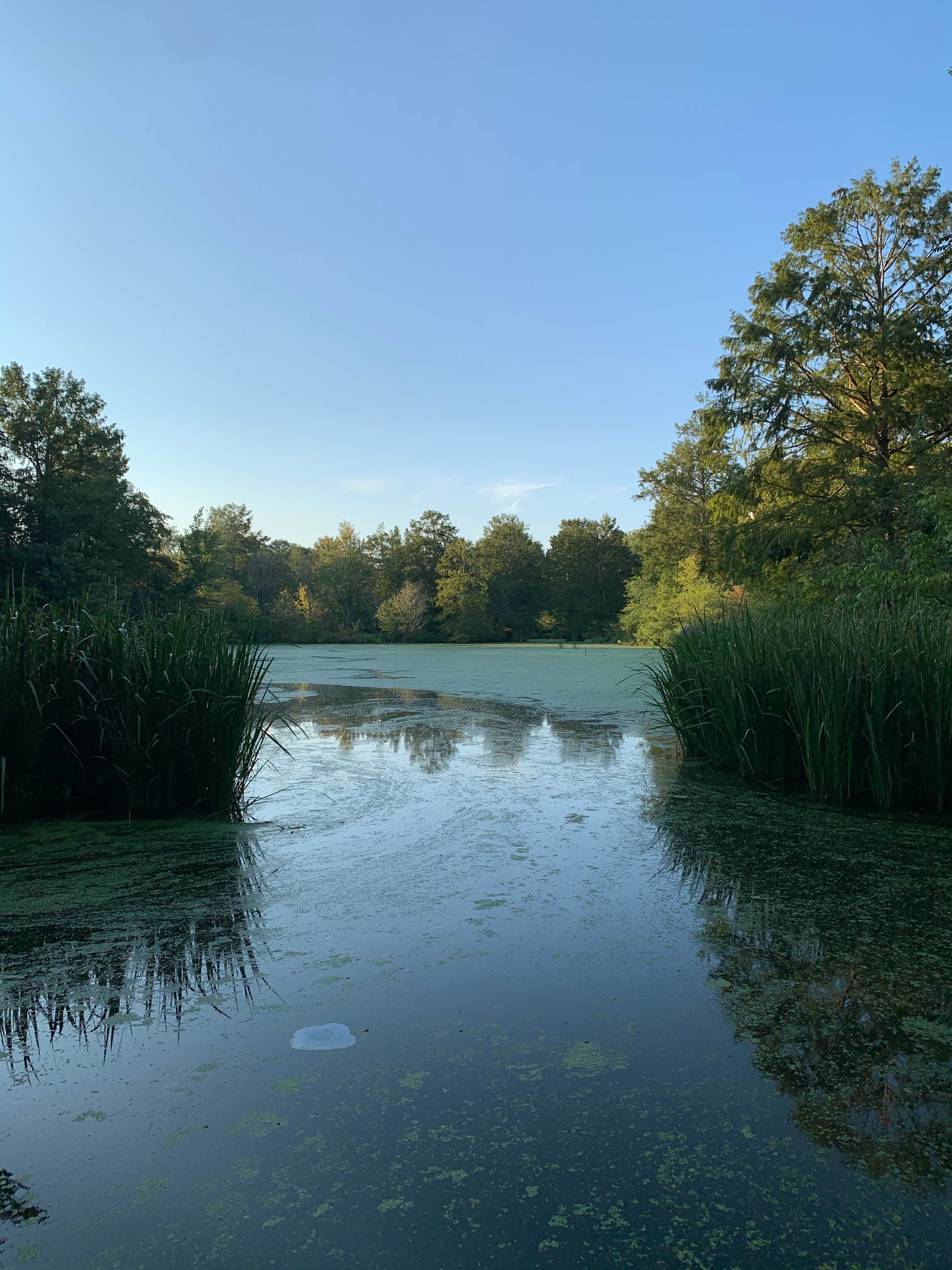 Camper-submitted photo at Reelfoot Lake State Park Campgrounds near Dyersburg, TN