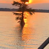 Review photo of Reelfoot Lake State Park Campgrounds by Brandon C., August 17, 2020