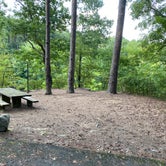 Review photo of Long Pool Recreation Area by Bryan F., August 17, 2020