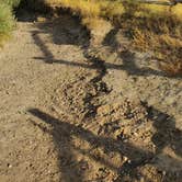 Review photo of Dugway Recreation Site by Tammy L., August 17, 2020