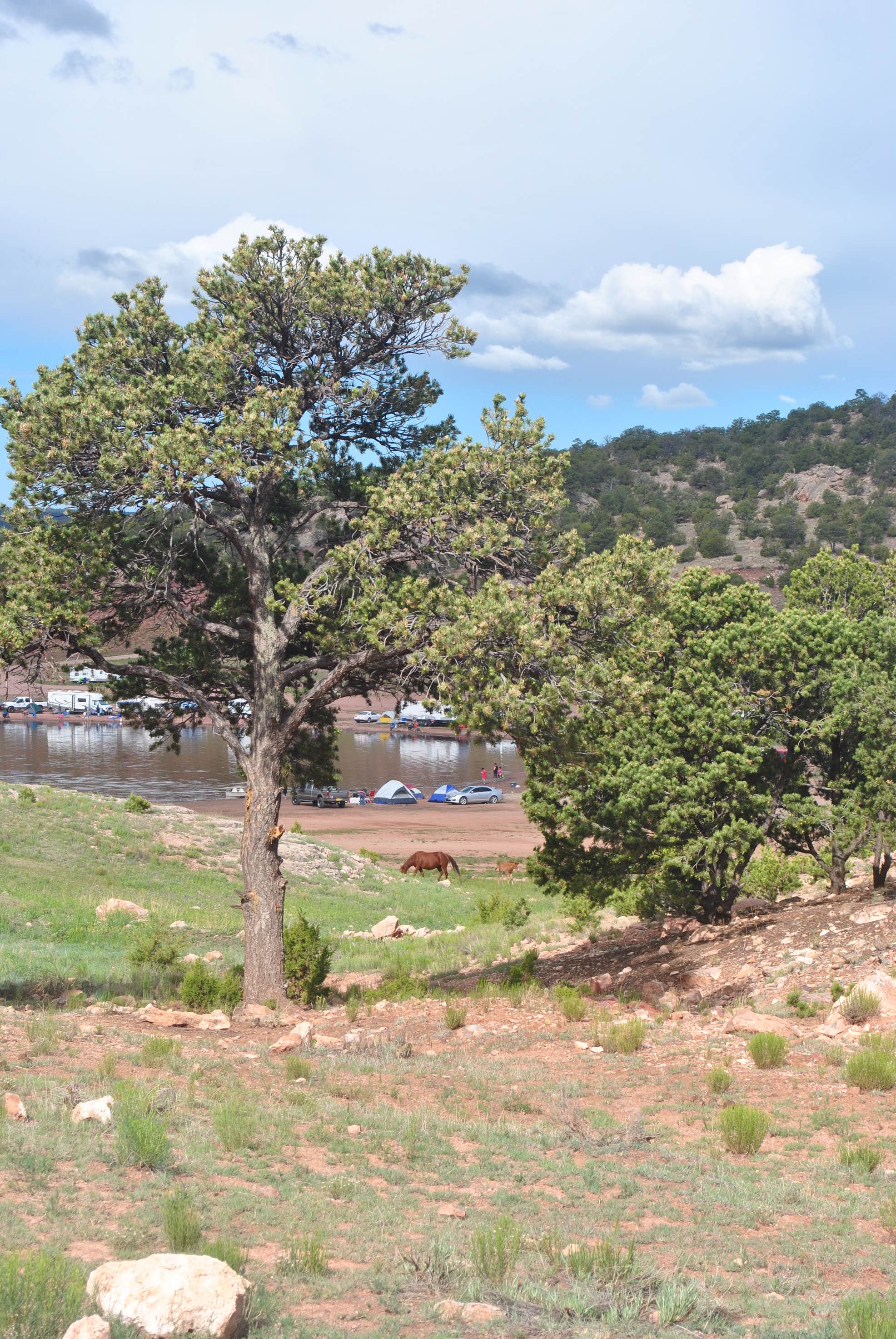Image Result For Bluewater Lake New Mexico Camping Reservations Campgrounds Image Result For Bluewater Lake New Mexico Camping Reservations Campgrounds