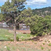 Review photo of Bluewater Lake State Park Campground by Elizabeth A., May 1, 2018