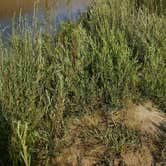 Review photo of Dugway Recreation Site by Tammy L., August 17, 2020