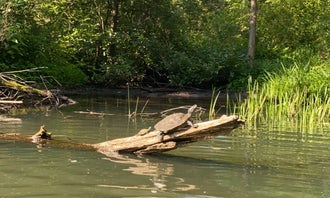 Camping near Cade Lake County Park & Campground: Trading Post Canoe Kayak & Campground, Orland, Indiana