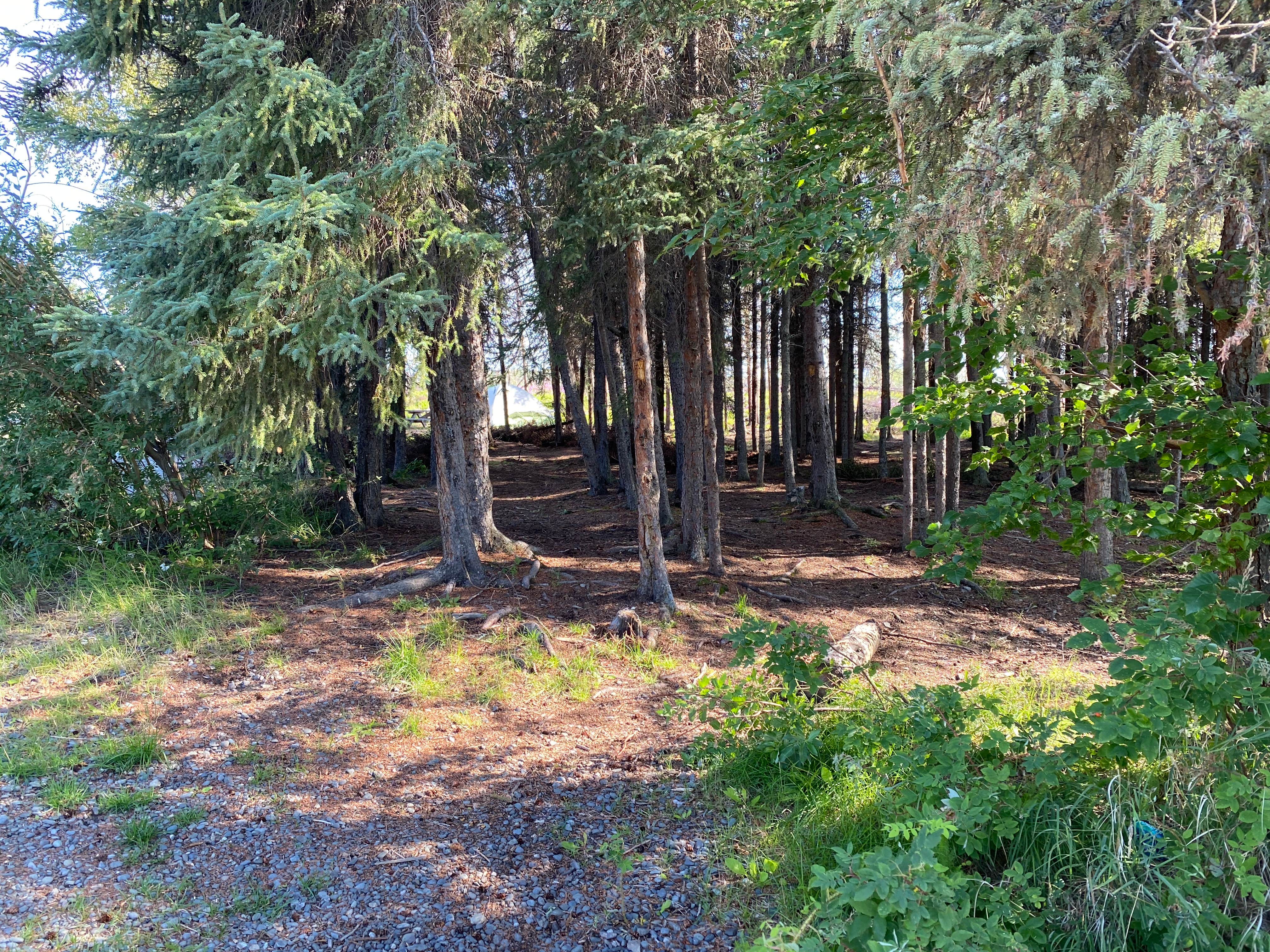 Camper-submitted photo at Peterson lake campground near Hoonah, AK