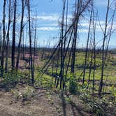 Review photo of Peterson lake campground by Tanya B., August 15, 2020