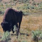Review photo of Gros Ventre Campground — Grand Teton National Park by Tammy L., August 17, 2020