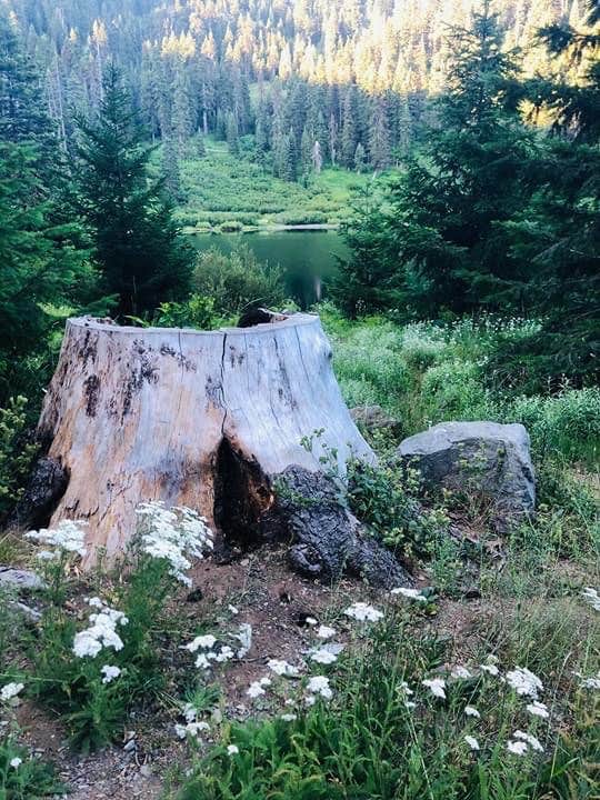 Camper-submitted photo at Bolan Lake Campground near Kerby, OR