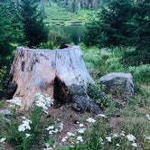 Review photo of Bolan Lake Campground by Johnny G., August 17, 2020
