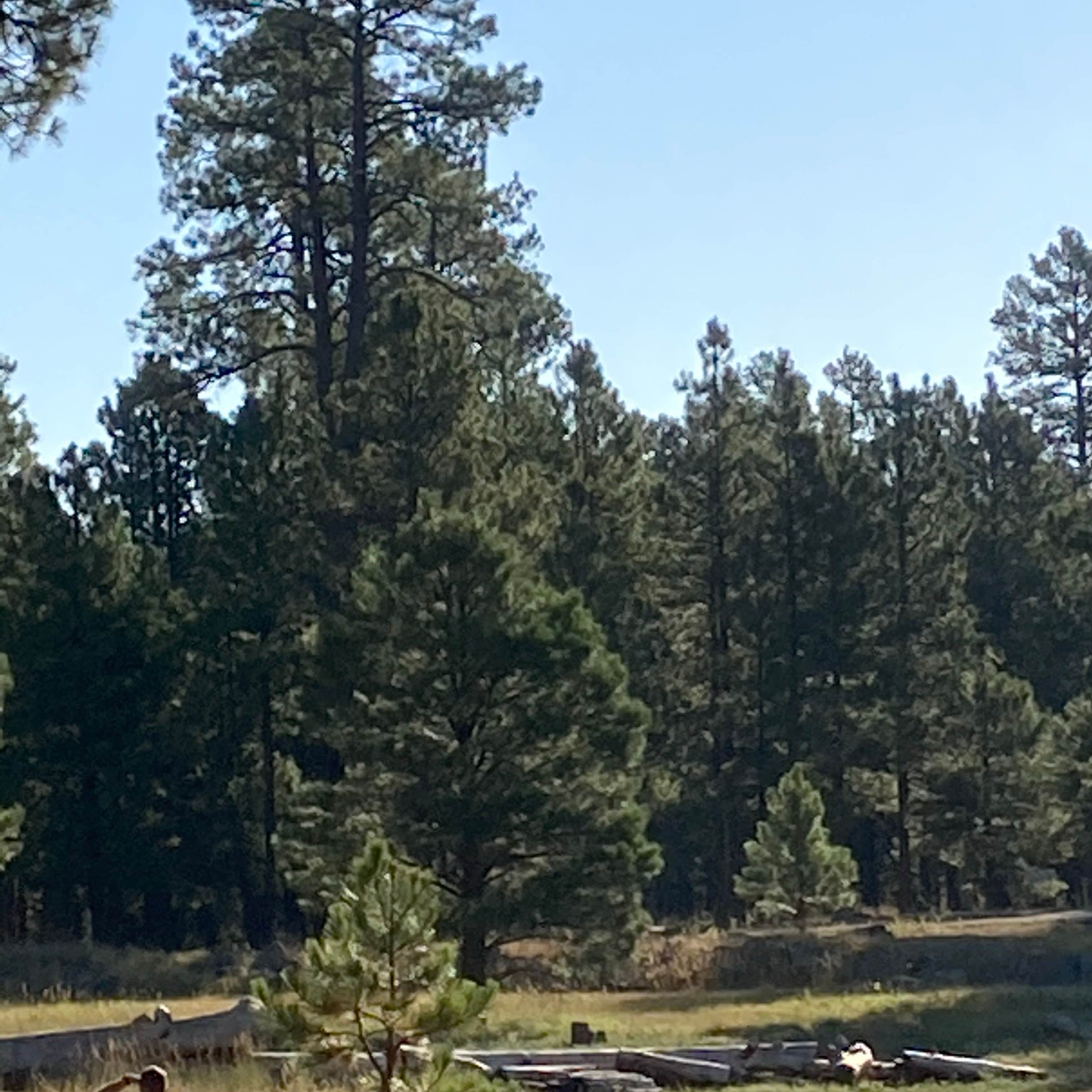 Grand Canyon Under Canvas