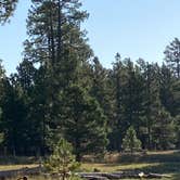 Review photo of Grand Canyon Under Canvas by Overland Pioneer ⛺., August 17, 2020