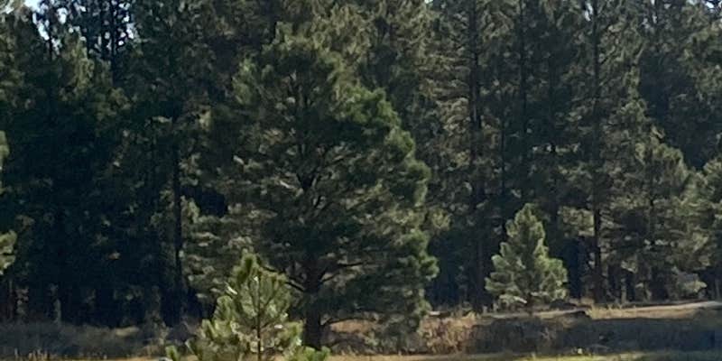 Camper submitted image from Grand Canyon Under Canvas