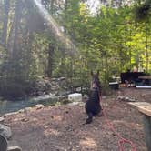 Review photo of Colonial Creek North Campground — Ross Lake National Recreation Area by Sara P., August 17, 2020