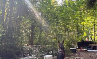 Sara P.'s photo of camping with pets at Colonial Creek North Campground — Ross Lake National Recreation Area near Lake Chelan National Recreation Area