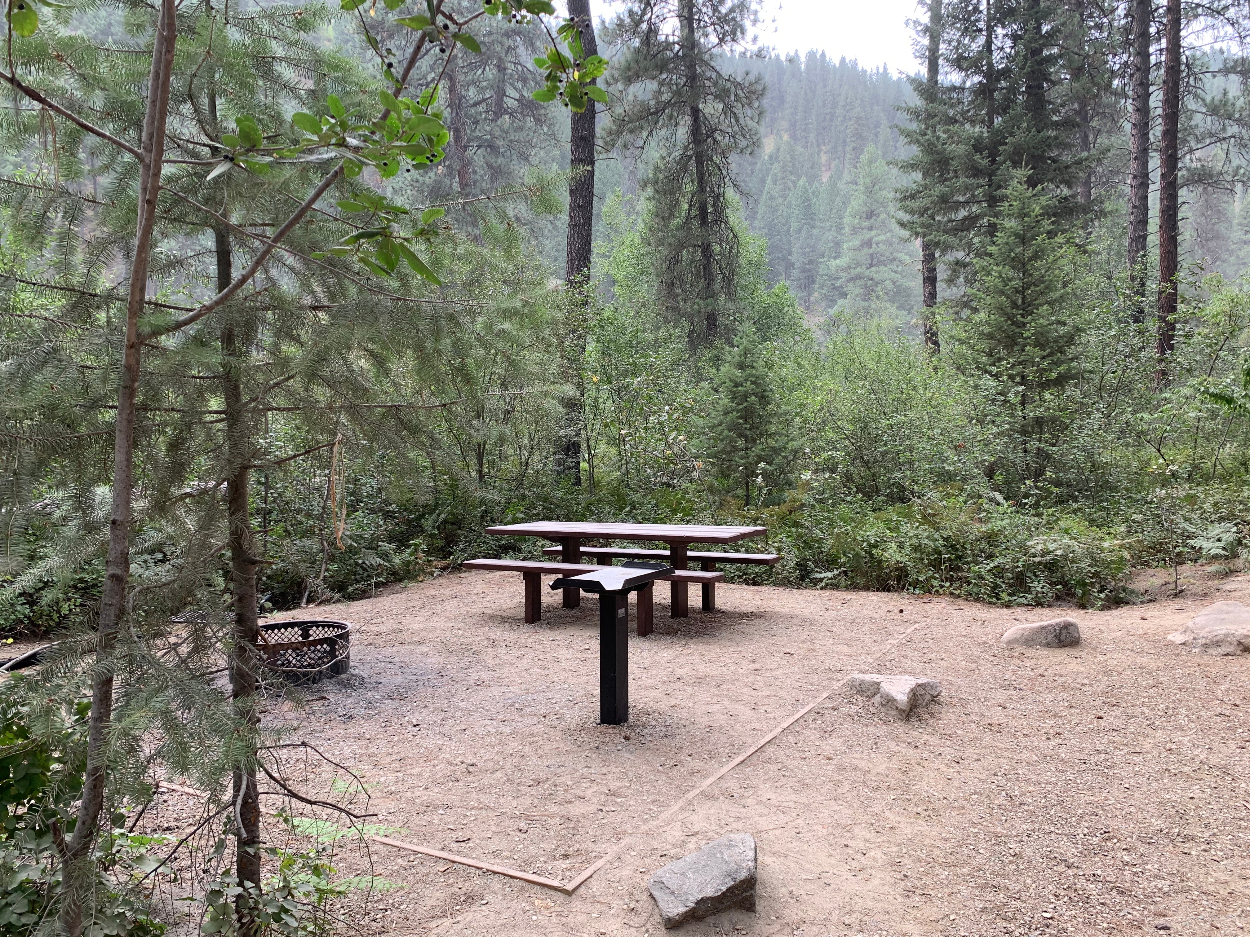 Camper submitted image from Hardscrabble Campground - 2