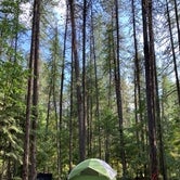 Review photo of Fish Creek Campground — Glacier National Park by Neal C., August 17, 2020