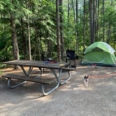 Review photo of Fish Creek Campground — Glacier National Park by Neal C., August 17, 2020