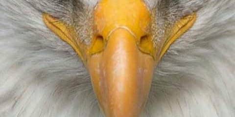 Camper submitted image from Coy and Wilmas One Stop