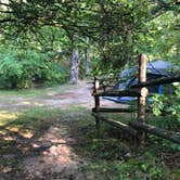 Review photo of Silver Creek State Forest Campground by Kitty B., August 17, 2020