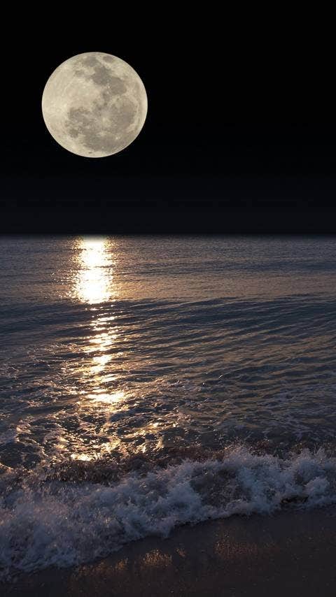 View All