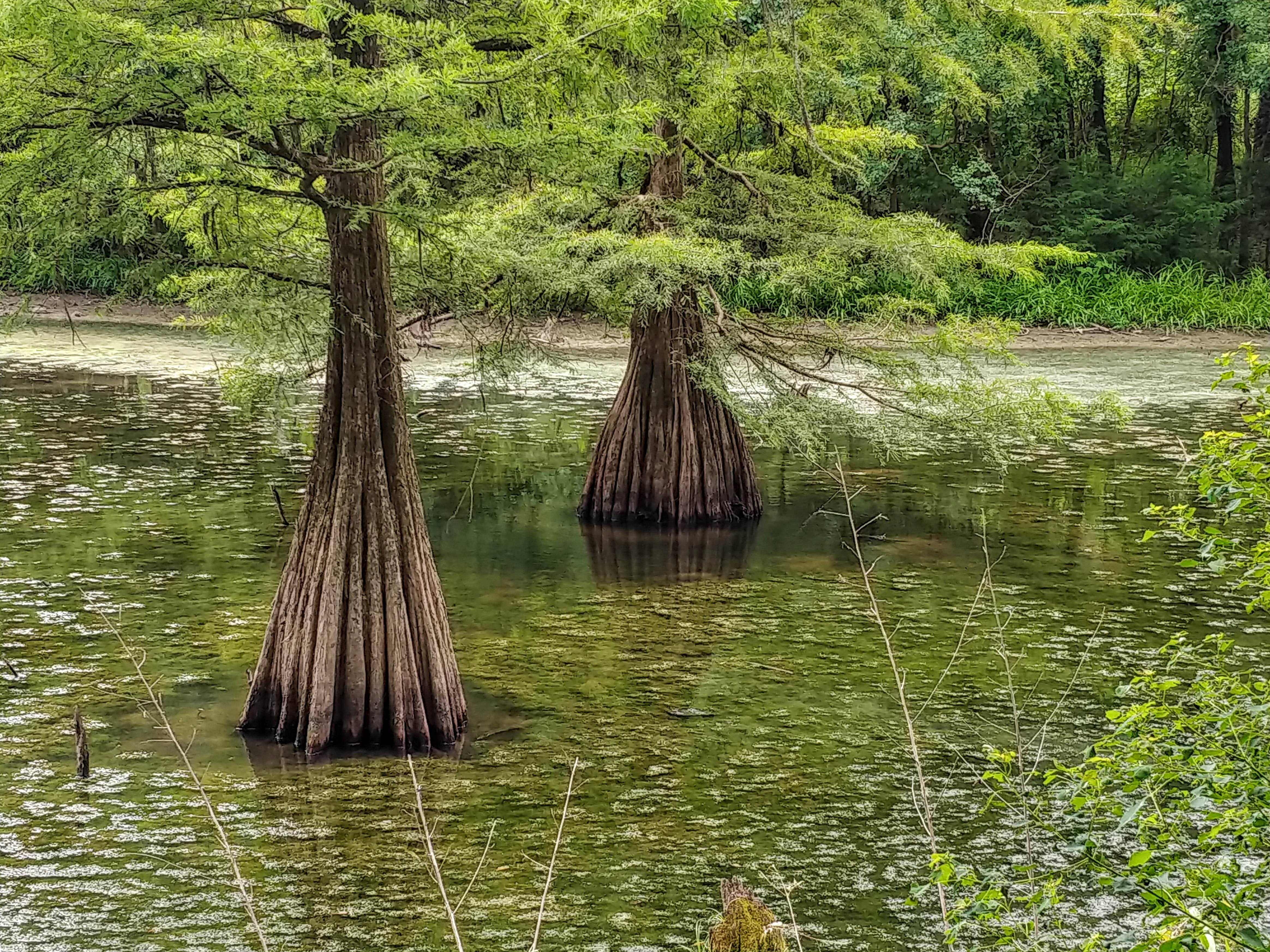 Camper-submitted photo at LeFleur&#x27;s Bluff State Park Campground in Mississippi