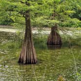 Review photo of LeFleur's Bluff State Park Campground by Kemberley P., August 17, 2020