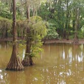 Review photo of LeFleur's Bluff State Park Campground by Kemberley P., August 17, 2020