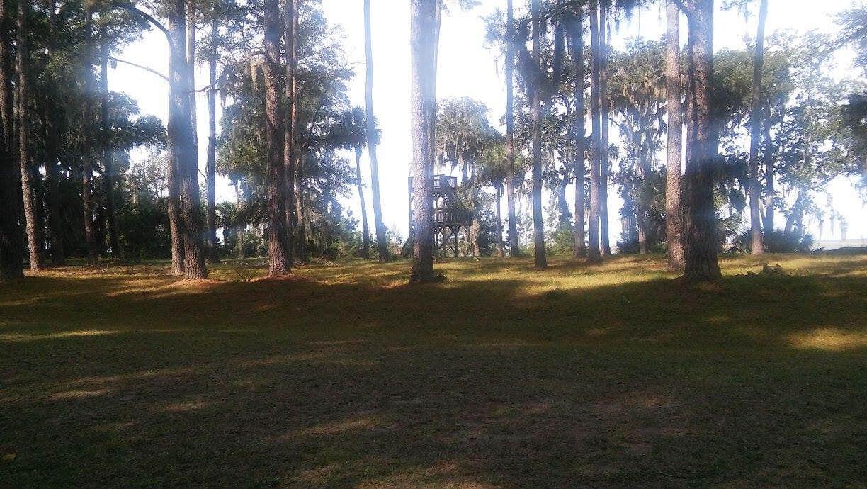 Camper submitted image from Fort McAllister State Park - 2