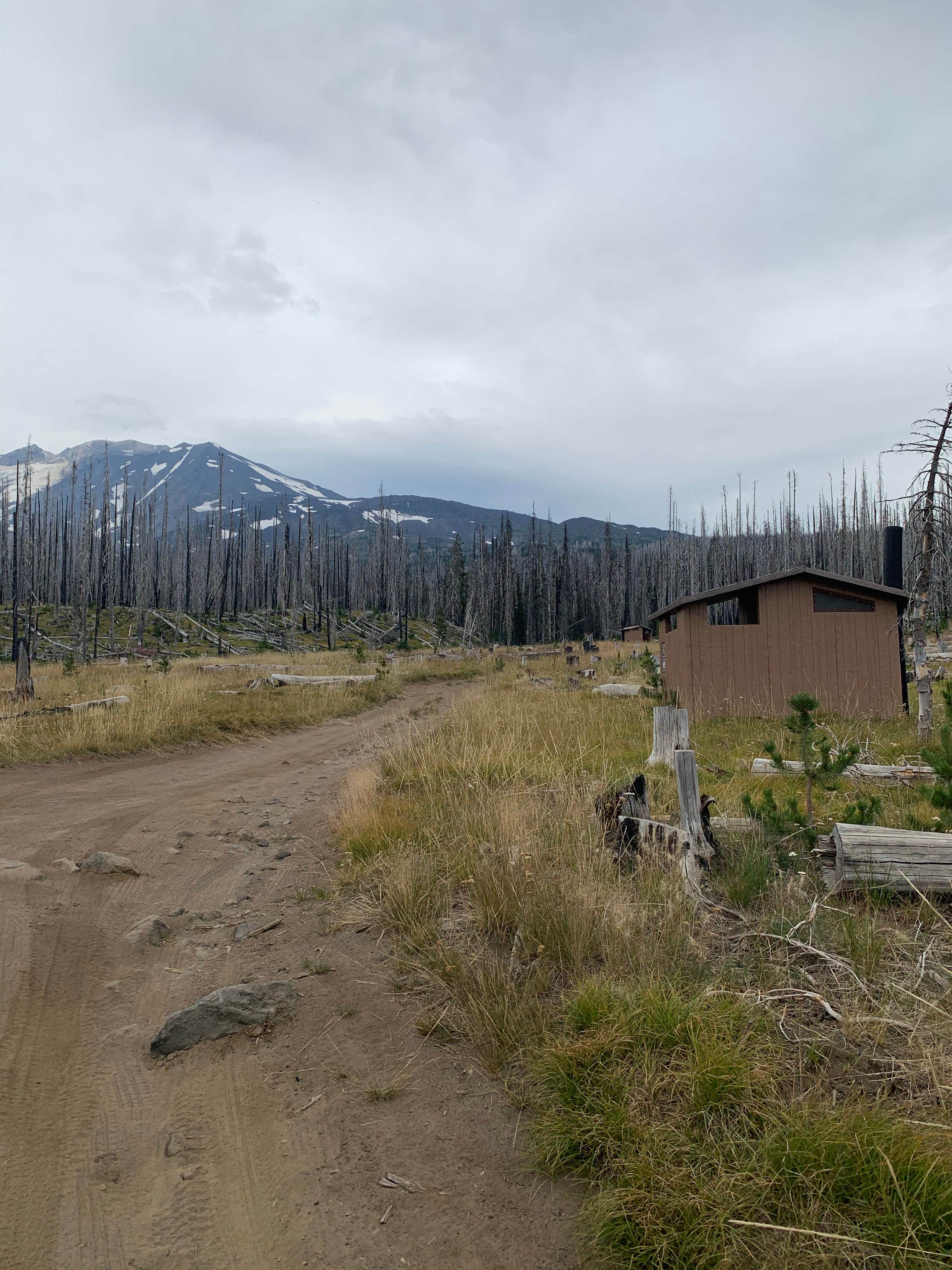 Camper-submitted photo at Morrison Creek near John Day Lock and Dam, Lake Umatilla