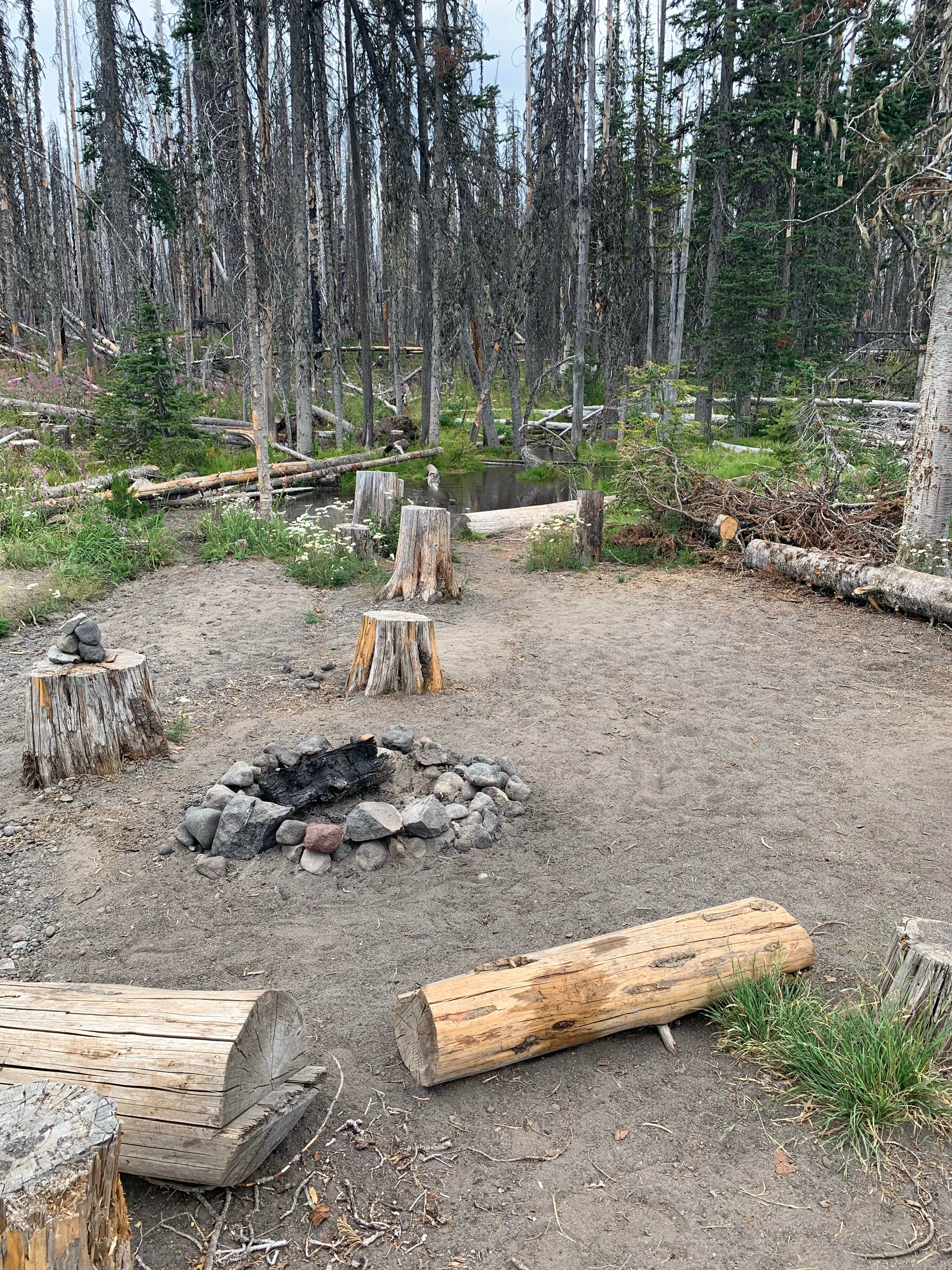 Camper-submitted photo at Morrison Creek near John Day Lock and Dam, Lake Umatilla