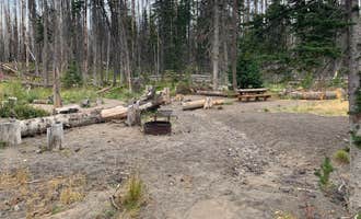 Camping near NF 020 - Trout Lake Dispersed  Site: Morrison Creek, Trout Lake, Washington