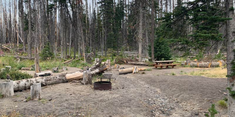 Camper submitted image from Morrison Creek