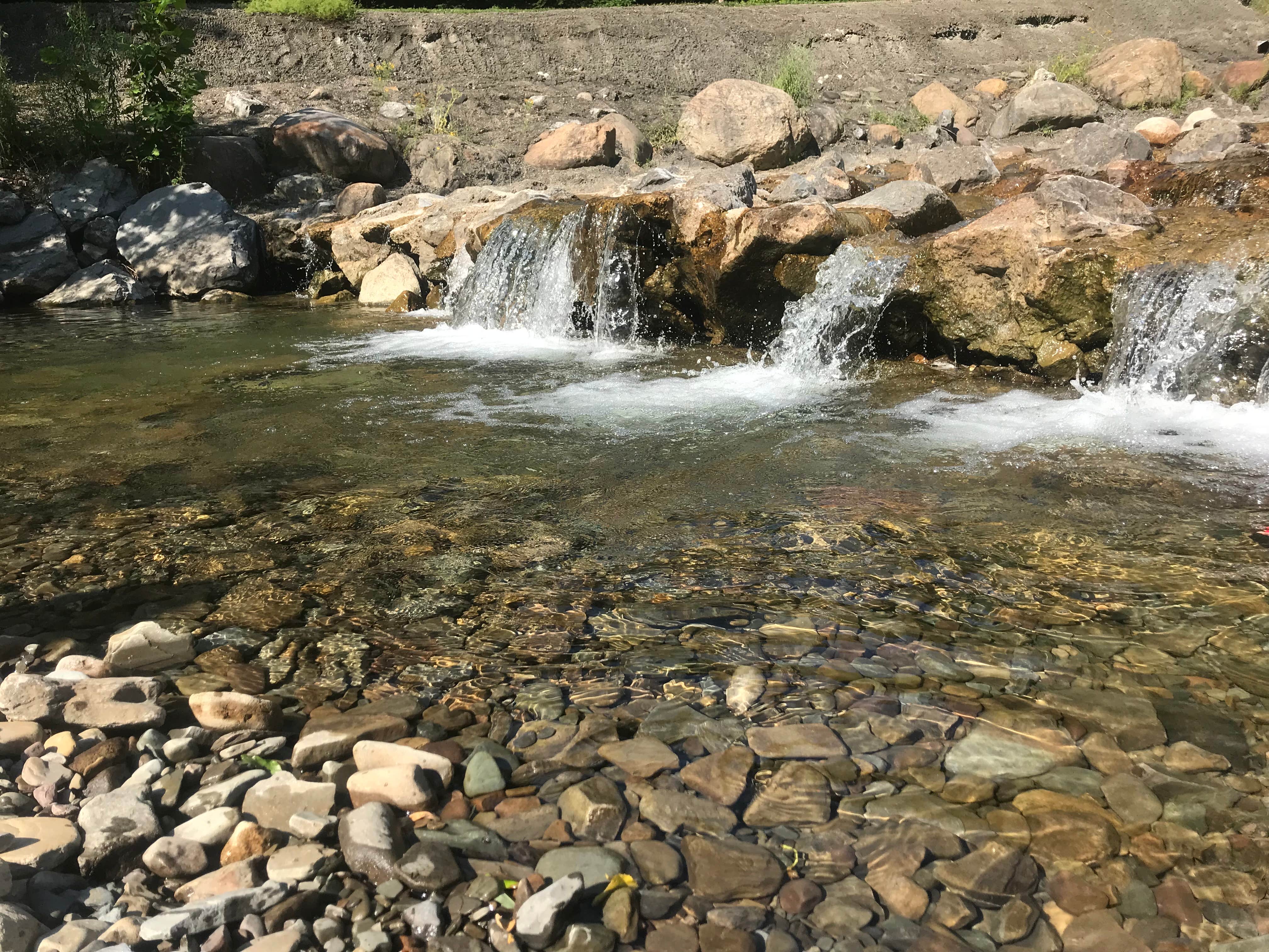 Camper-submitted photo at Erie County Sprague Brook Park near Collins Center, NY