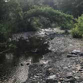Review photo of Erie County Sprague Brook Park by Amanda K., August 17, 2020