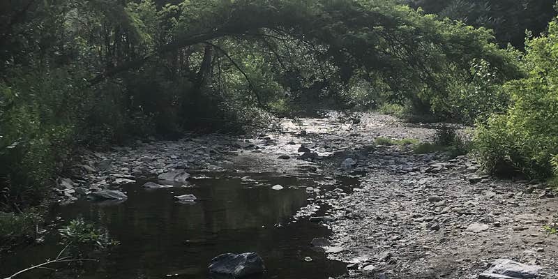 Camper submitted image from Erie County Sprague Brook Park