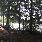 Review photo of Umbagog Lake State Park by Lucy S., August 17, 2020