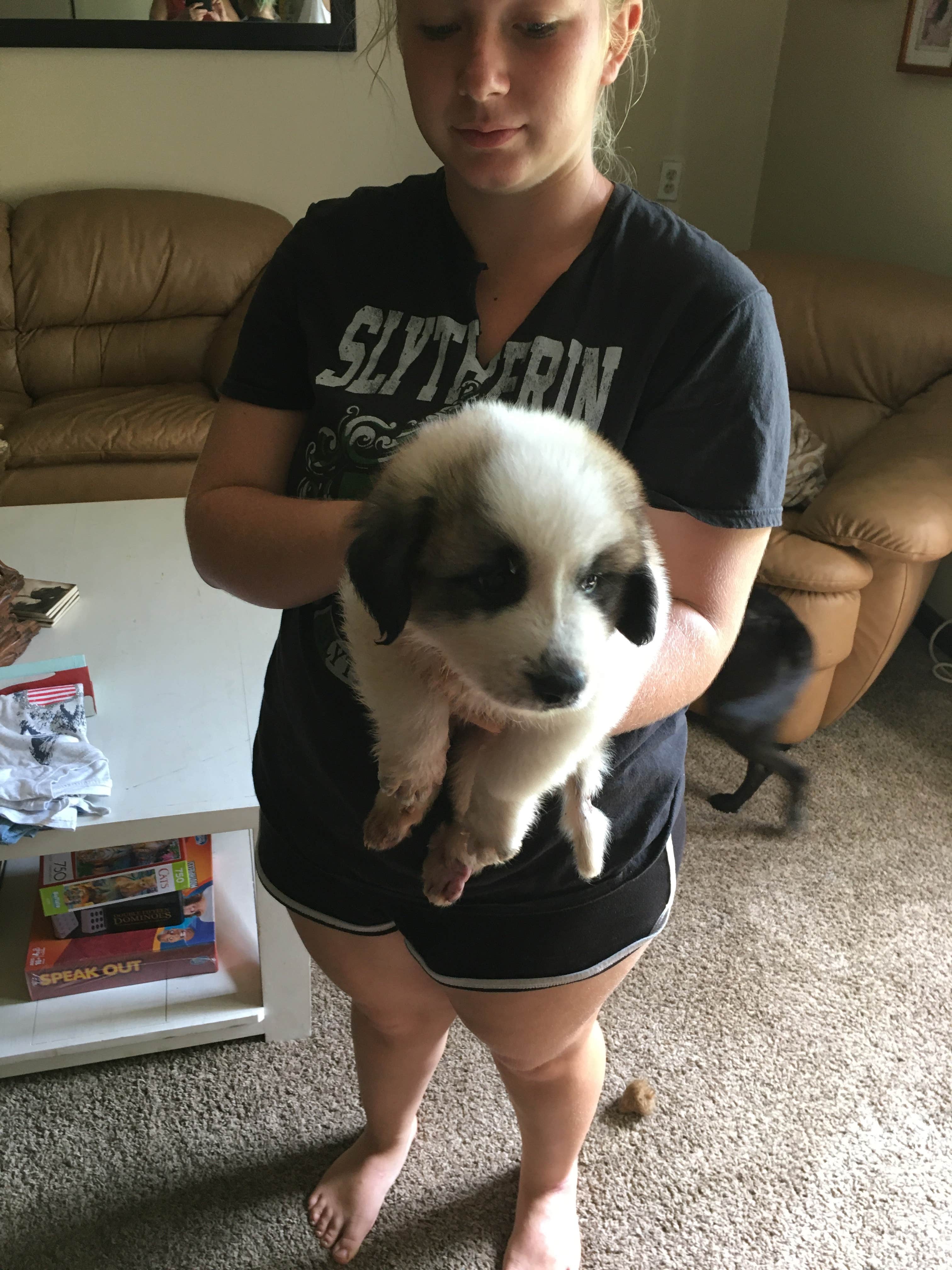 Camping near High Bluff Campground — Joe Budd WMA and Lake Talquin State Forest: Crazy 8 Ranch, Midway, Florida