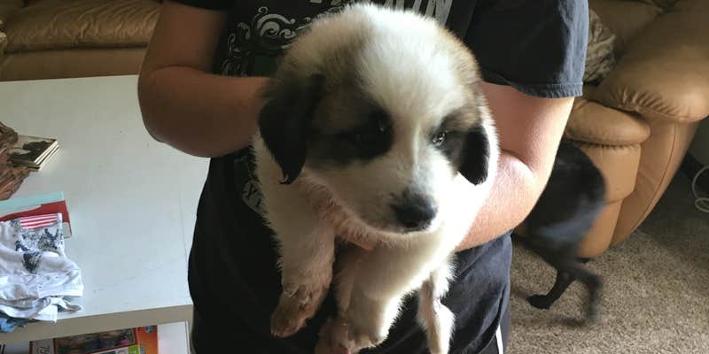 Camper submitted image from Crazy 8 Ranch