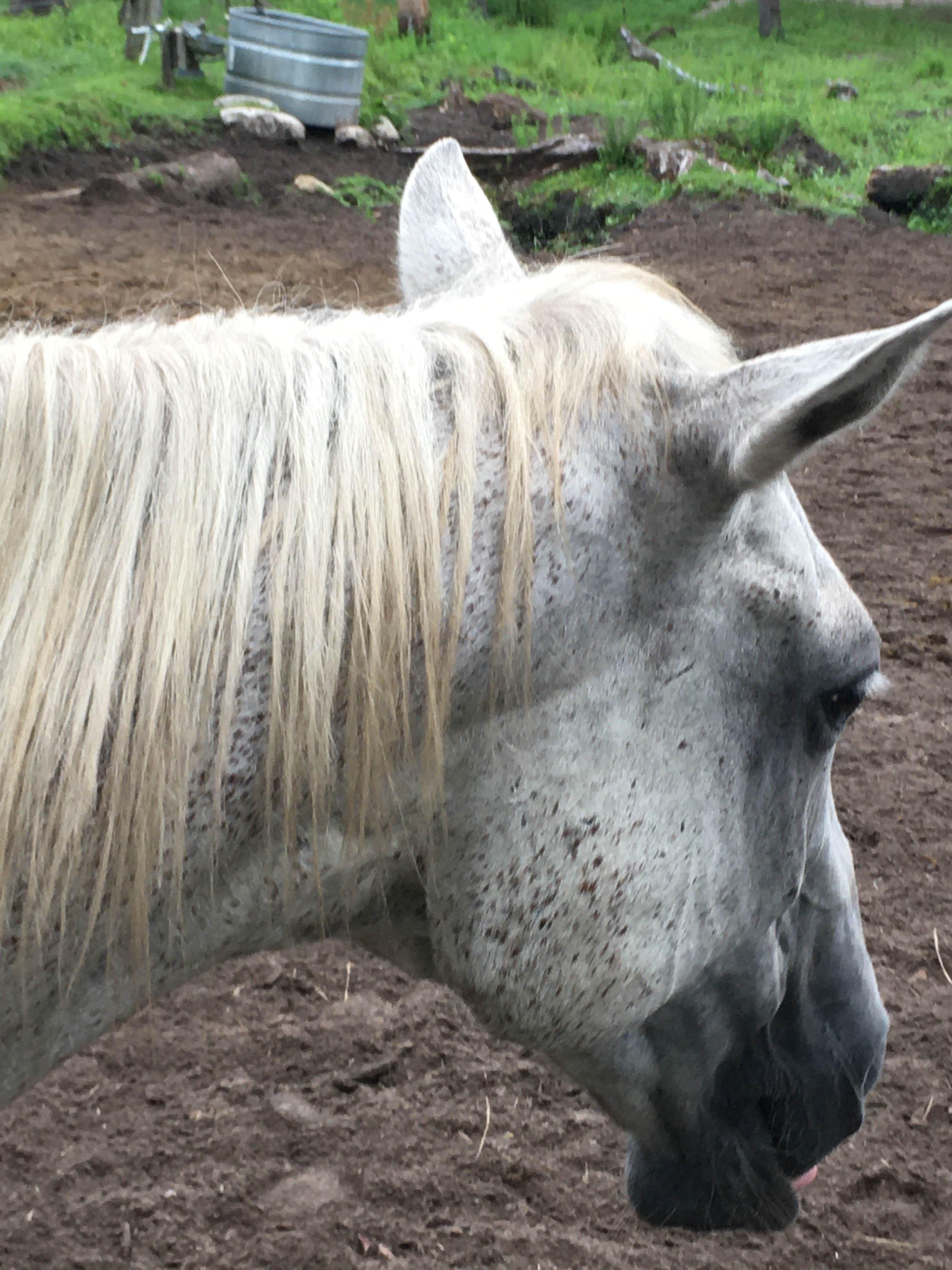 Camper-submitted photo at Crazy 8 Ranch near Apalachicola National Forest