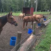 Review photo of Crazy 8 Ranch by Catherine A., August 17, 2020