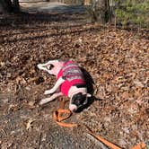 Review photo of McDowell Nature Preserve by Jennifer  J., August 17, 2020