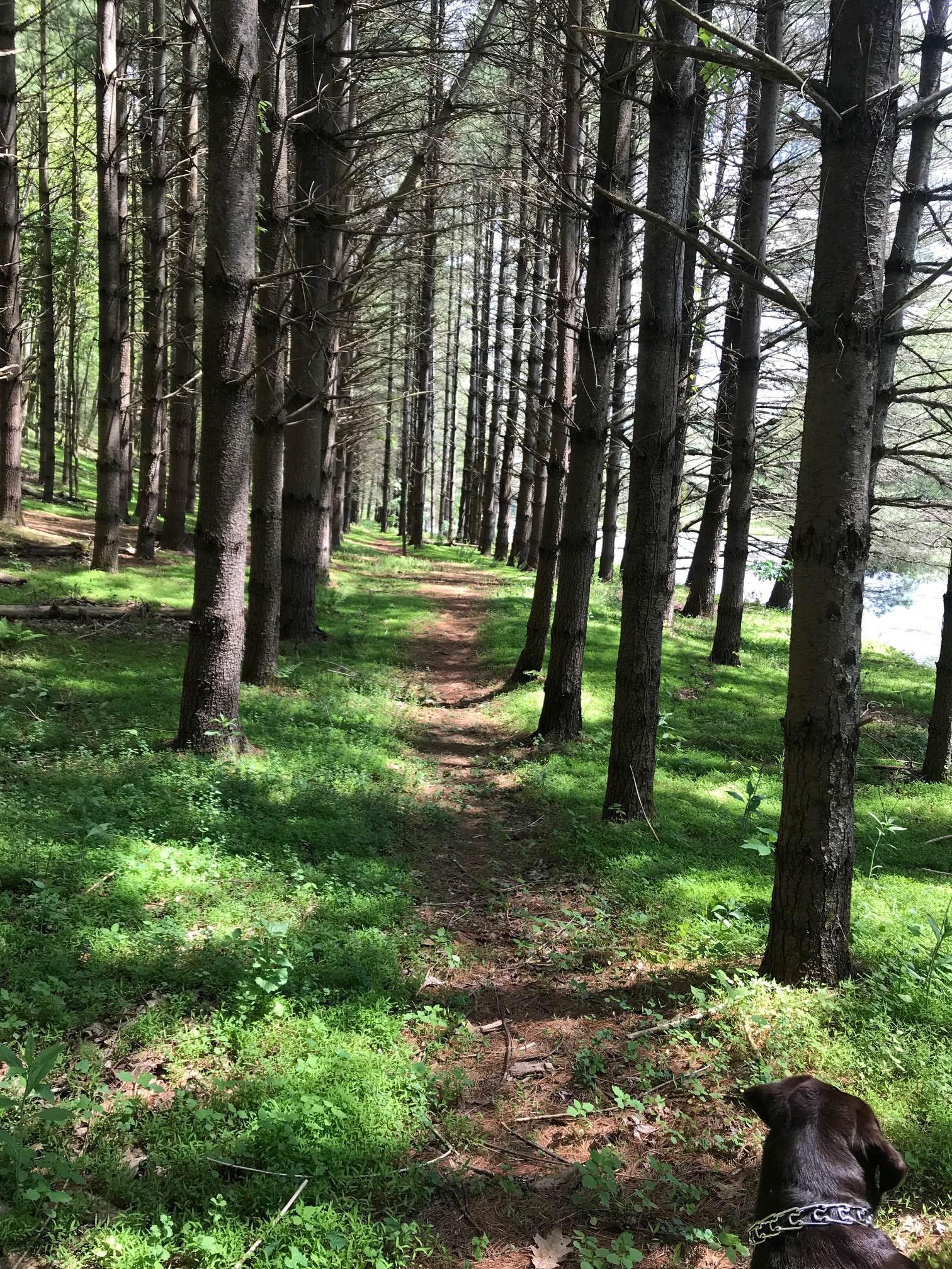 Camper submitted image from New River Redemption - 5