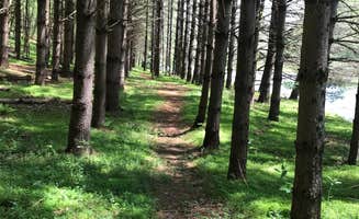 Kyle & Amy Z.'s photo of camping with pets at New River Redemption near Mouth of Wilson, VA