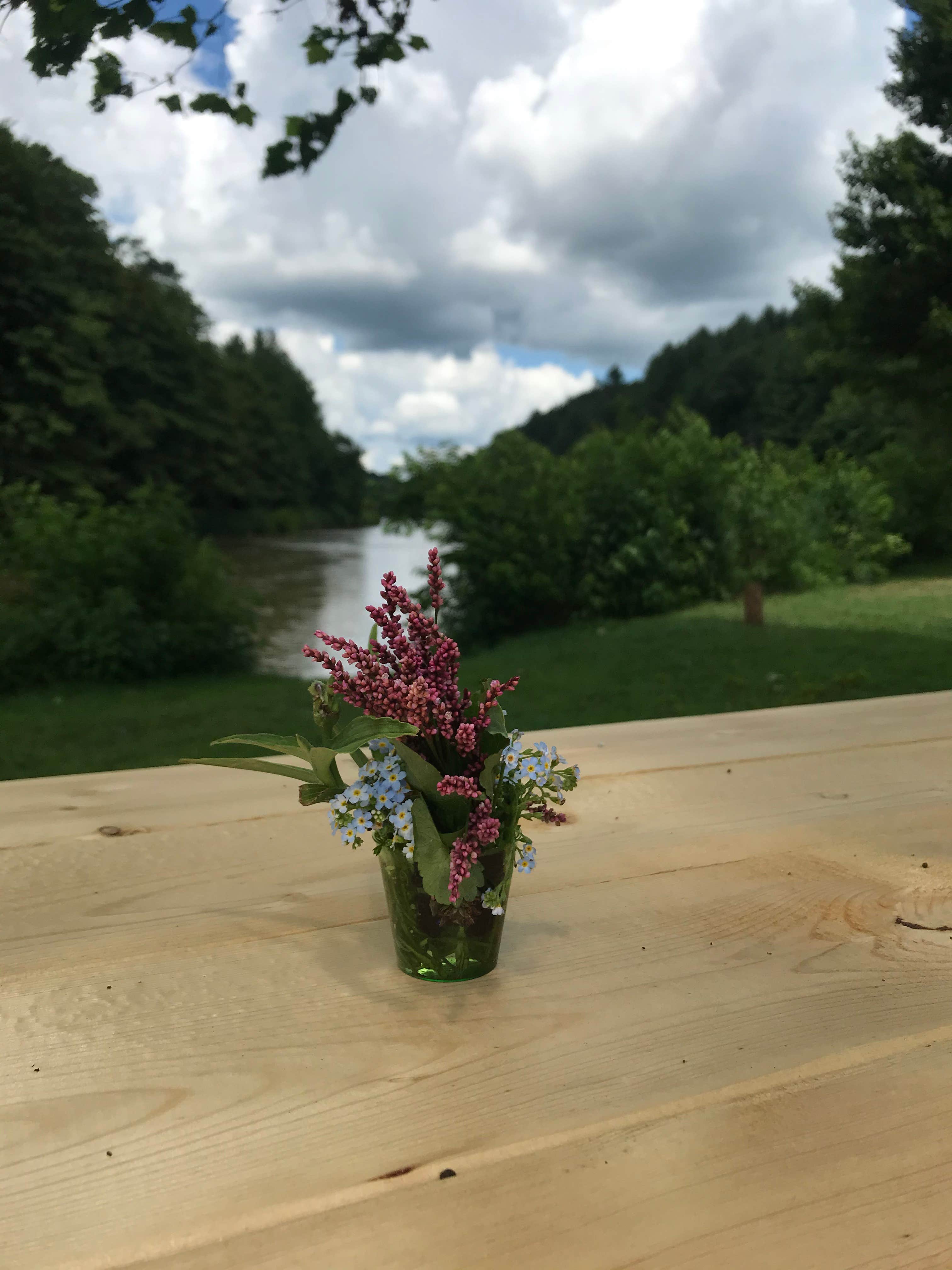 Camper-submitted photo at New River Redemption near Glendale Springs, NC