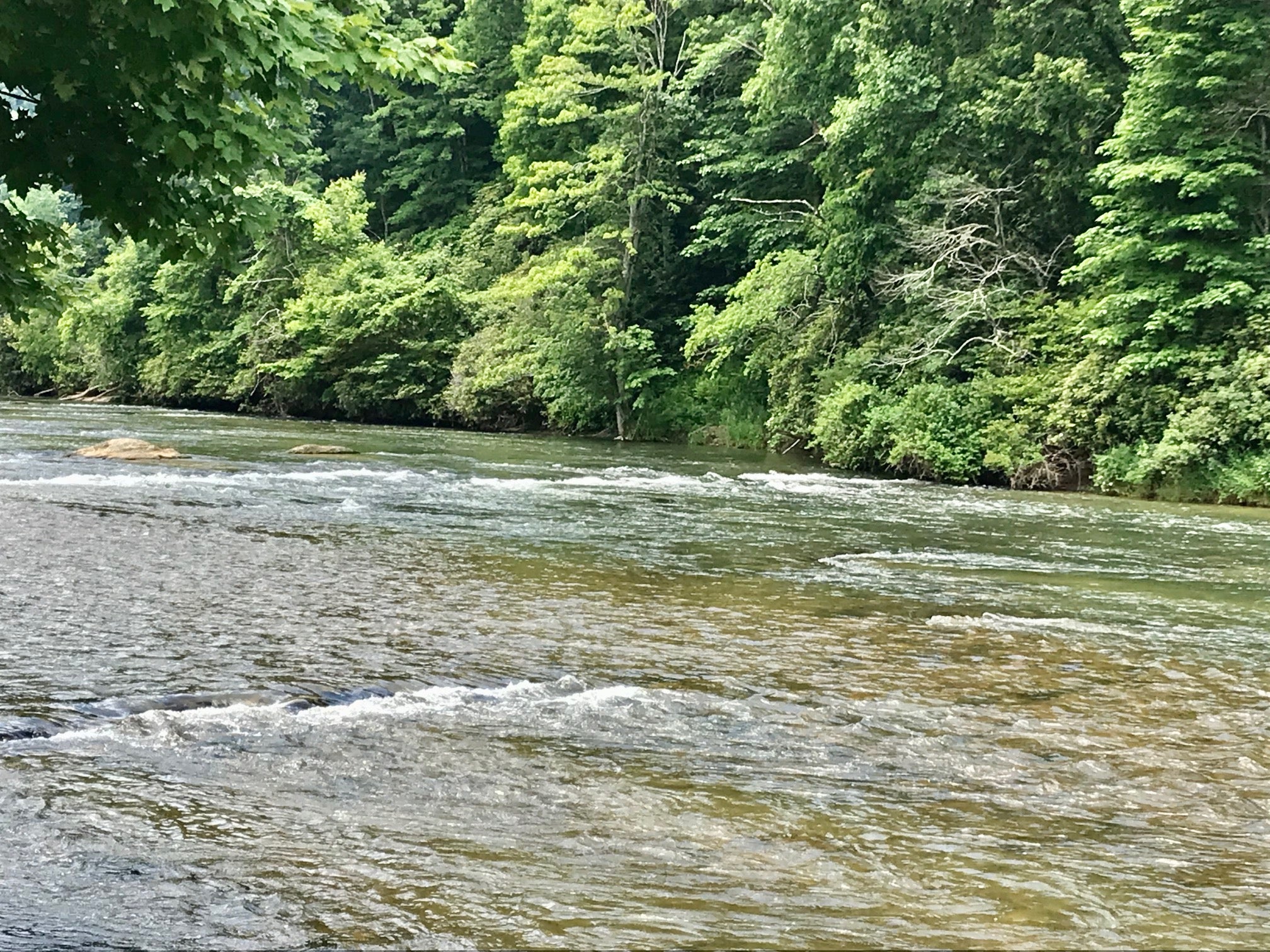 Enjoy the sounds of the river right next to your site.