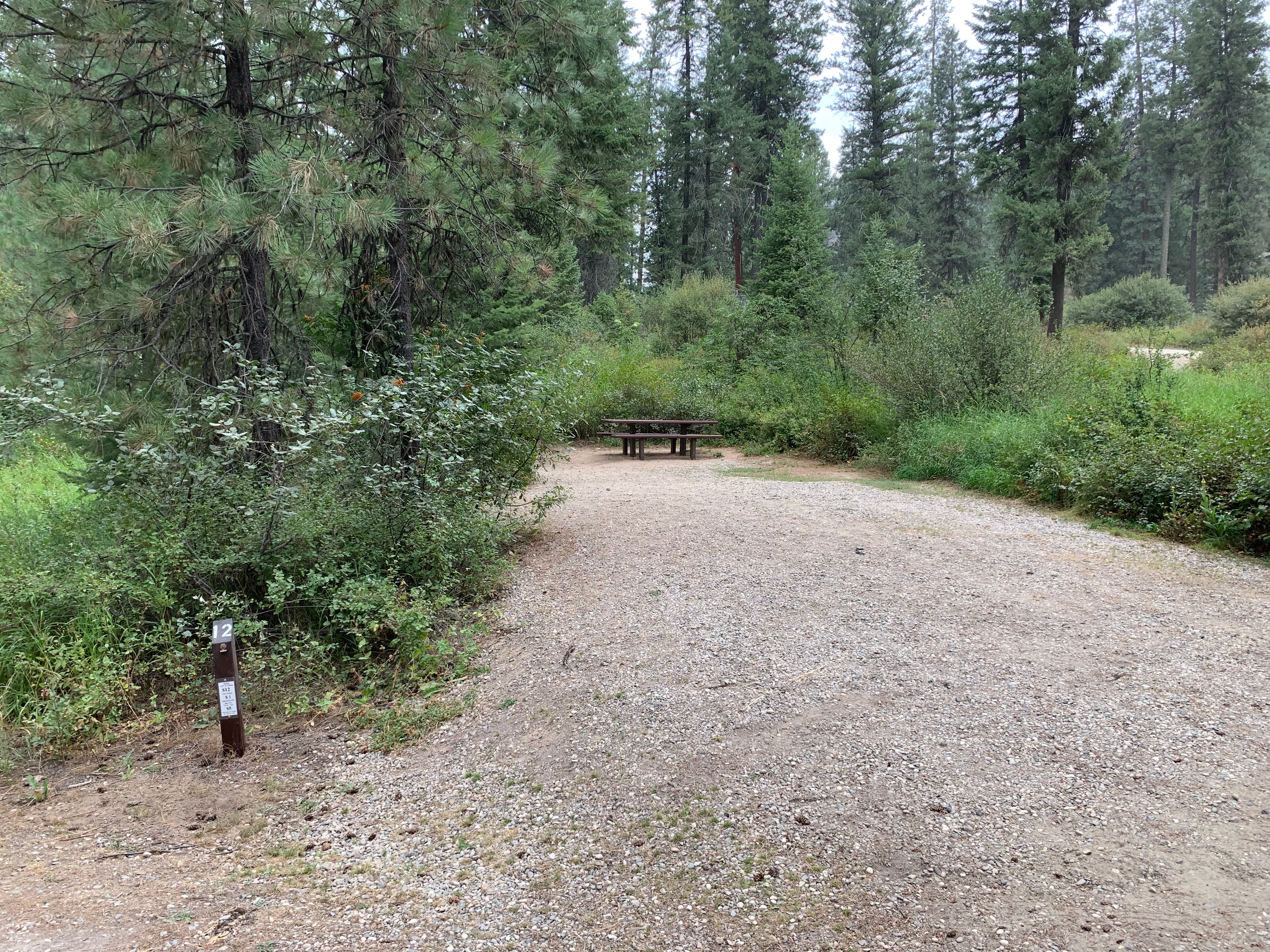 Camper submitted image from Trail Creek Campground - 5