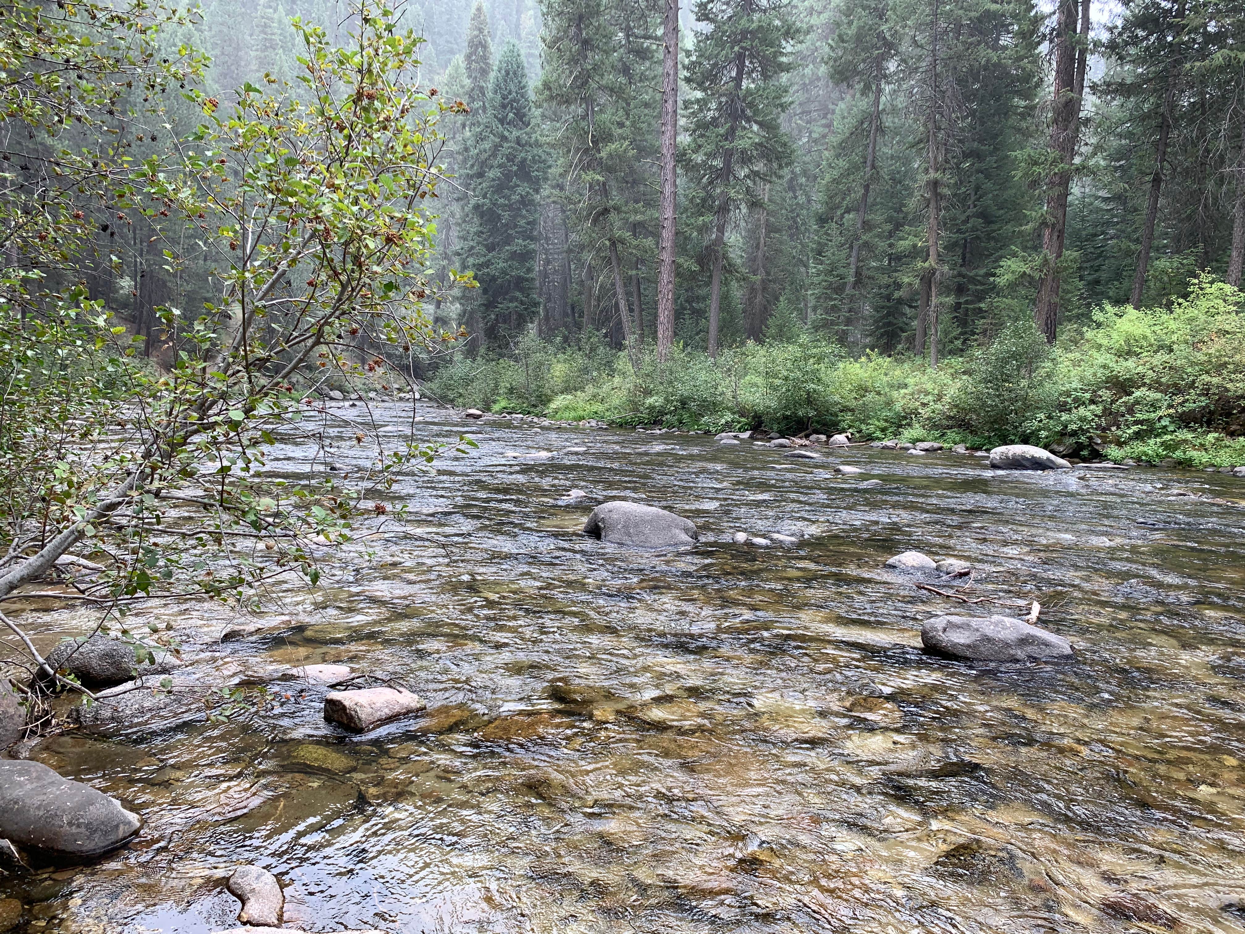 Camper submitted image from Trail Creek Campground - 5