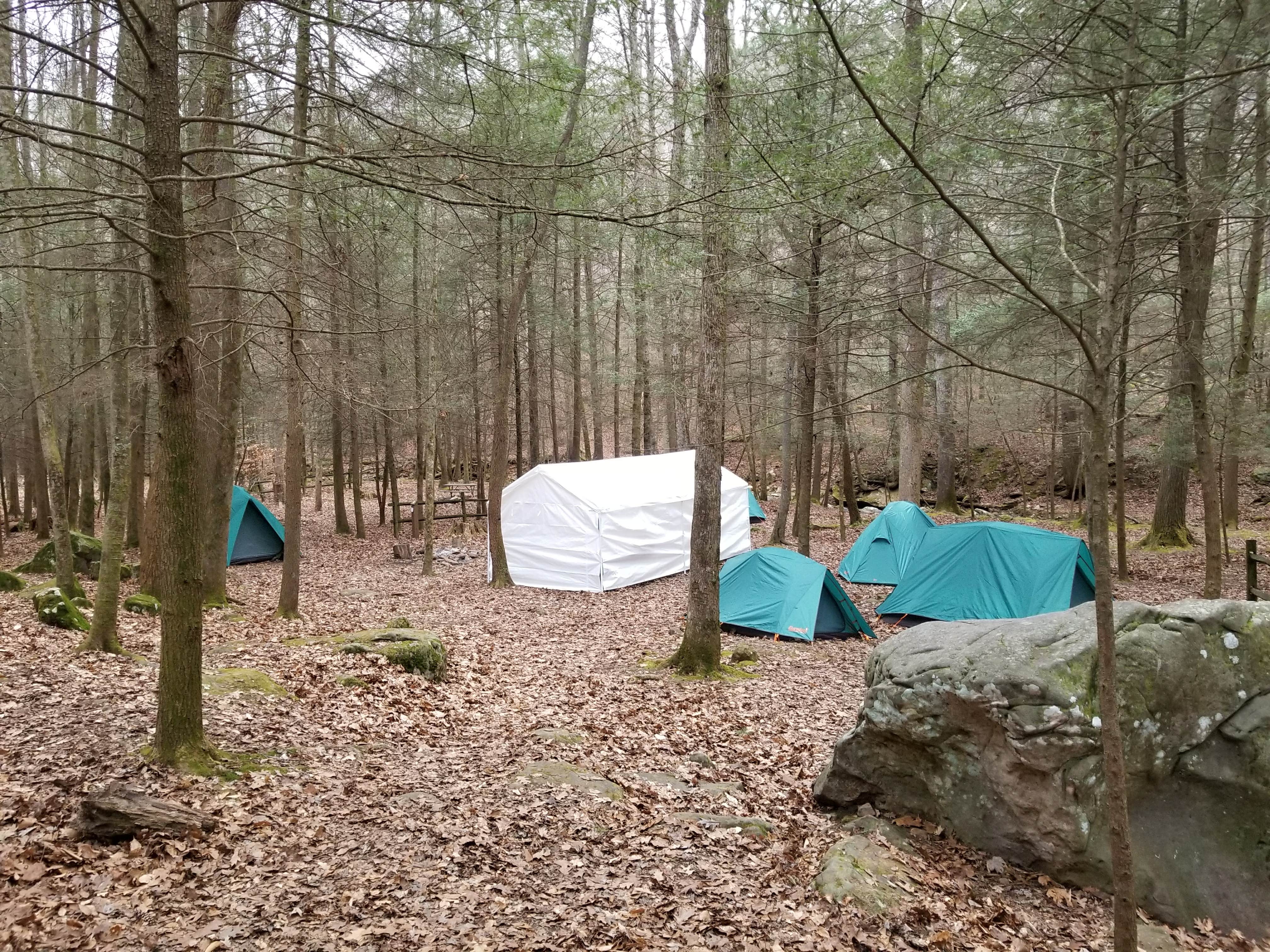 Frozen Head State Park Campground Wartburg, TN
