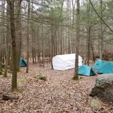 Review photo of Frozen Head State Park Campground by Melanie G., May 1, 2018