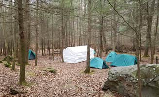 Melanie G.'s photo of tent camping at Frozen Head State Park Campground near Loudon, TN